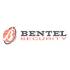 BENTEL ABS48 Board for Bentel ABSOLUTA PLUS 8 ABS-48 Hybrid alarm control unit
