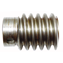 CAME 119RID230 - Worm screw - F7000 F7001 F7001E