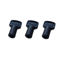 CAME 119RIY077 - Set of 3 engine release keys