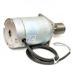 CAME 119RIG047 GARD 24 gearmotor