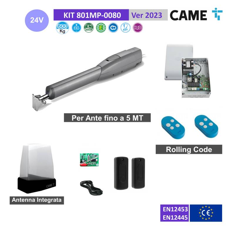Kit Automazione Cancelli A Battente CAME FROG-A - Sistema Sotterraneo Per Ante Fino A 3,5m - Foto 7